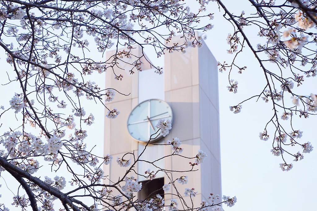 桜と時計