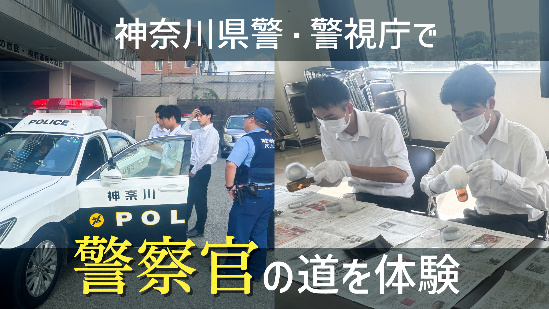 体育学科生が神奈川県警・警視庁で警察官の道を体験！ | IPU・環太平洋大学